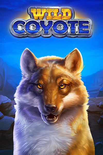 Wild Coyote