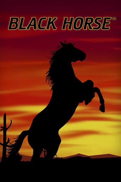 Black Horse